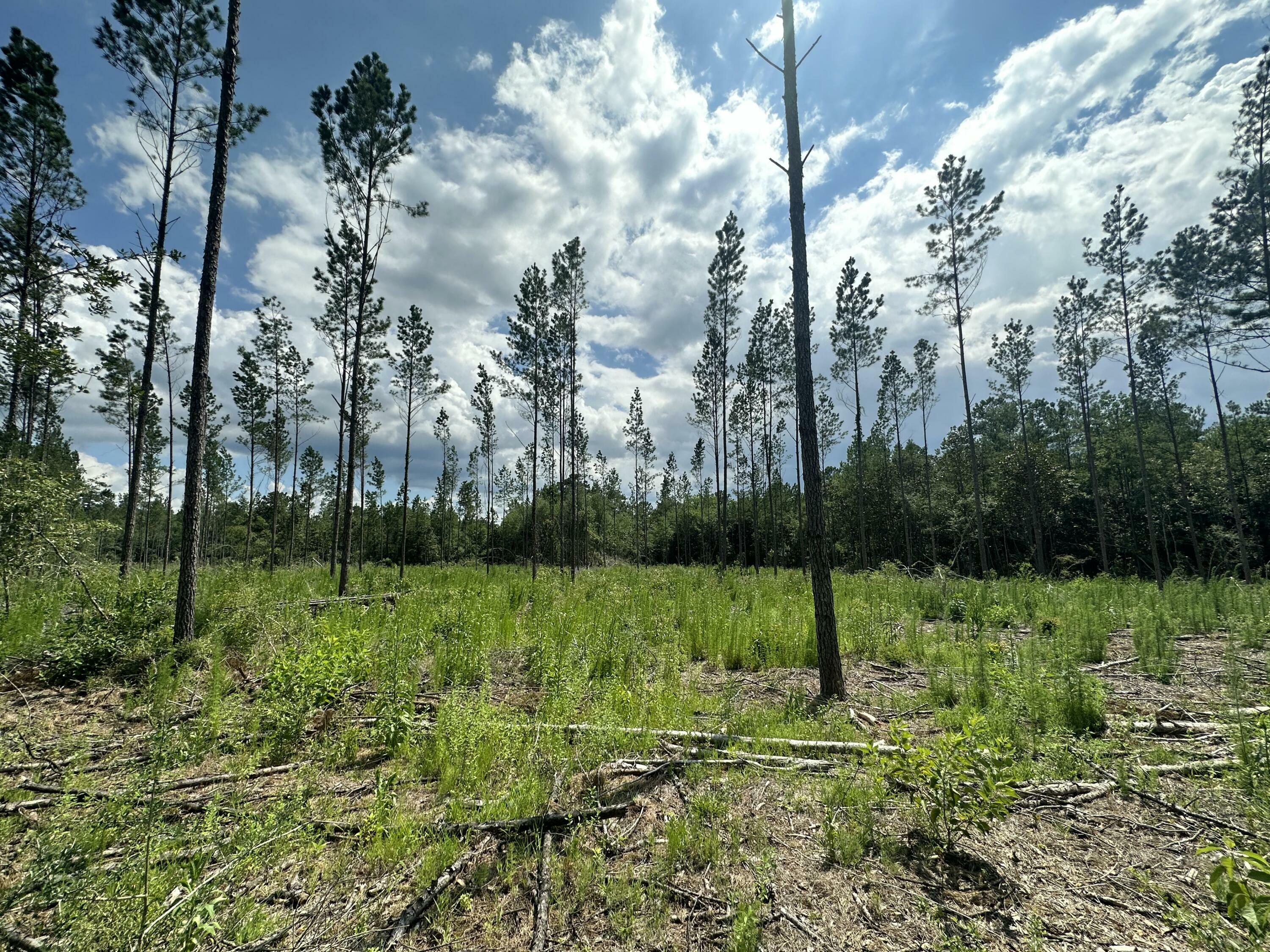 Property Photo: Parcel B Yellow River Baptist Church Road FL 32531