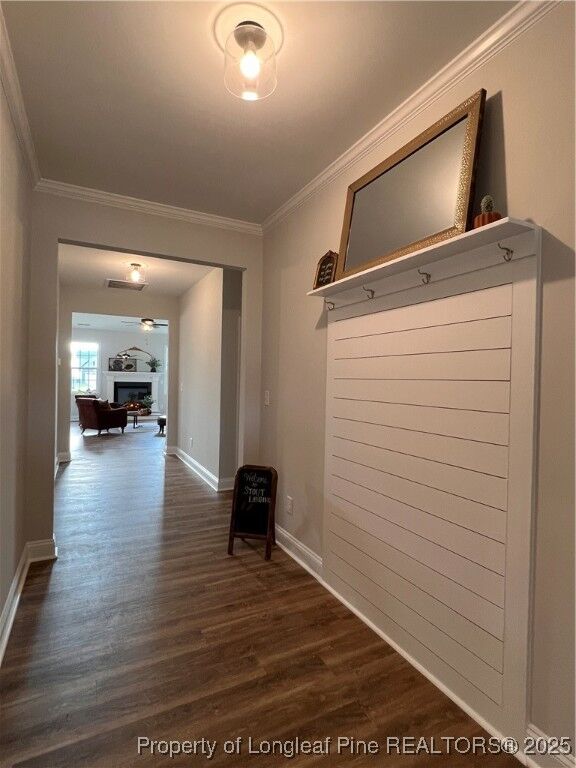 Property Photo: 223 Sacksonia Street NC 28376