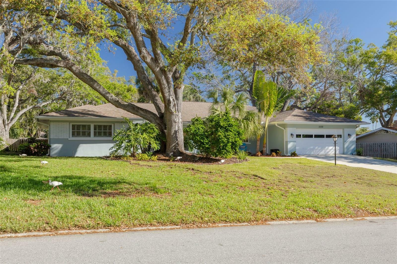 3330 San Bernadino Street  Clearwater FL 33759 photo