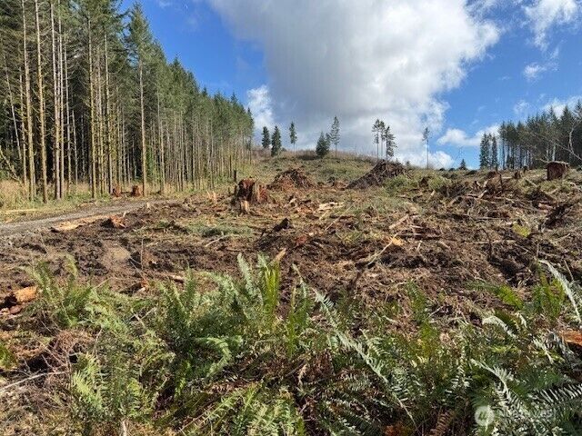 Property Photo: 0 Lot 2 August Road WA 98532