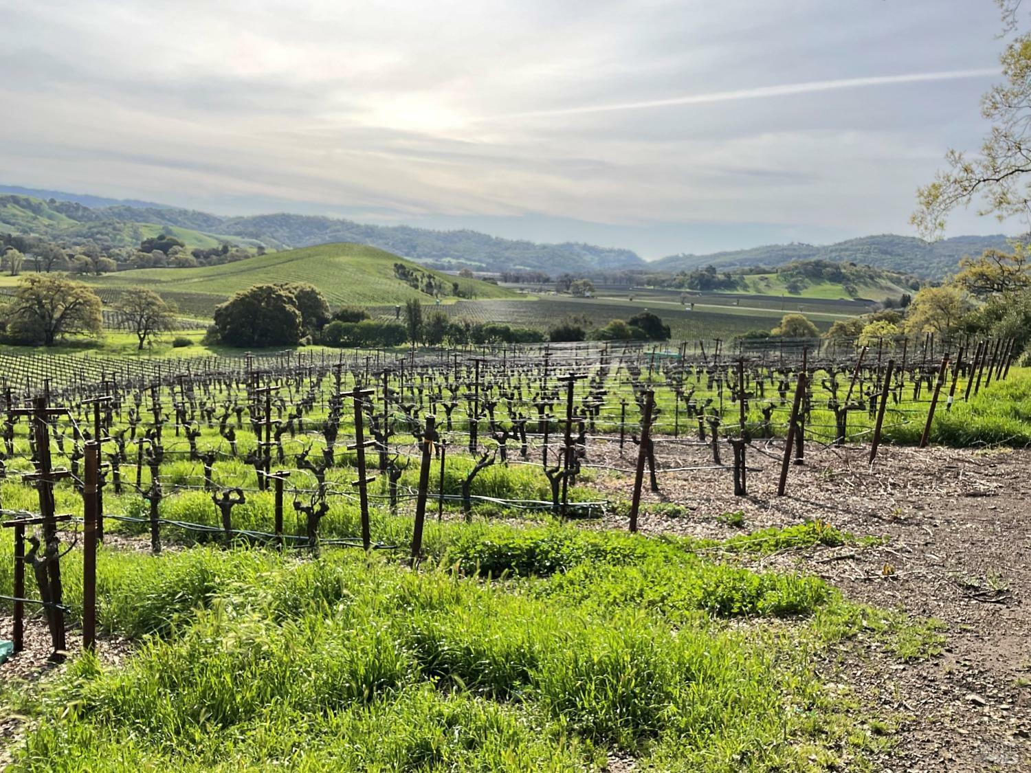 Property Photo: 4060 Monticello Road CA 94558