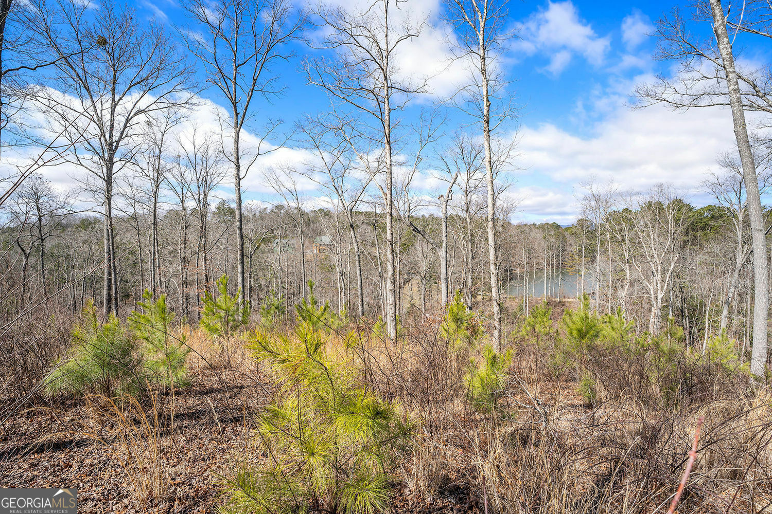 Property Photo: Lot 163 Lecroy Drive GA 30540