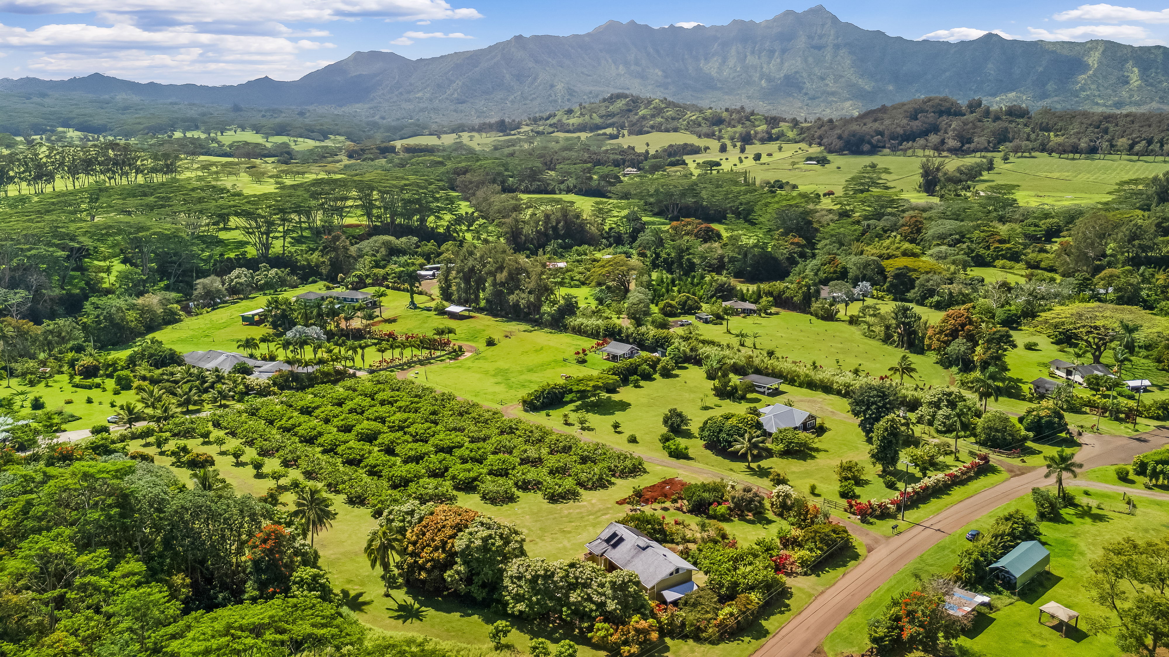 4685 Kuawa Rd  Kilauea HI 96754 photo