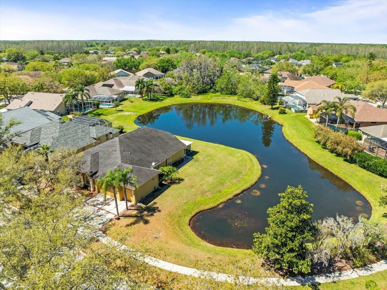 Property Photo: 19230 Wind Dancer Street FL 33558
