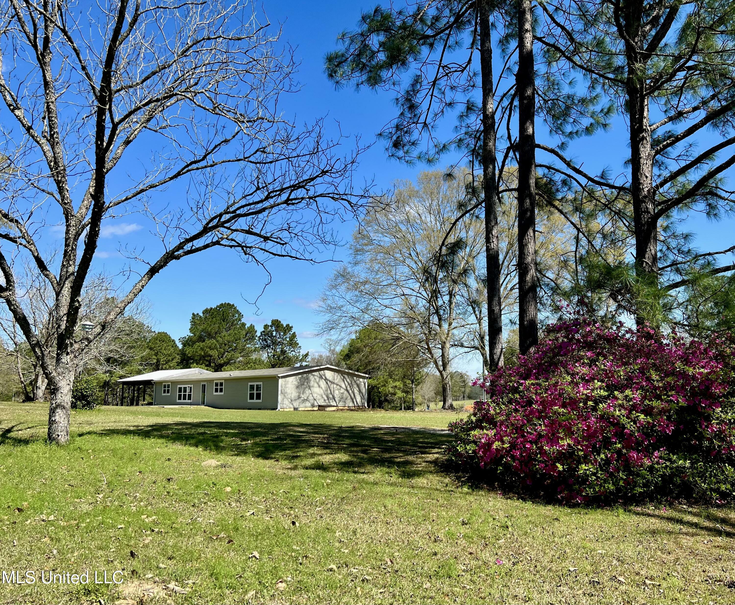 2221 Brushy Creek Road  Lucedale MS 39452 photo