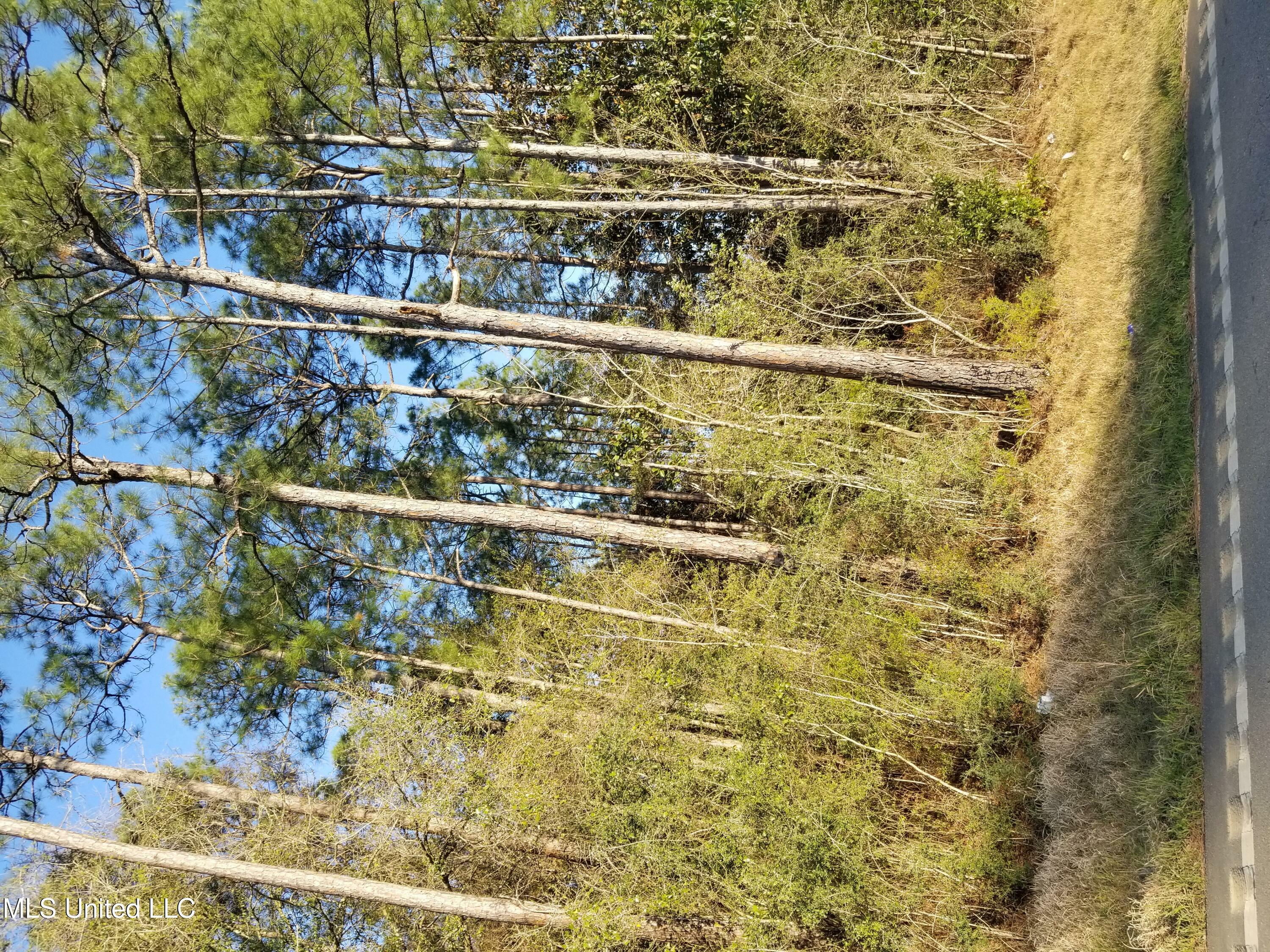 Property Photo: Firestone Street MS 39553