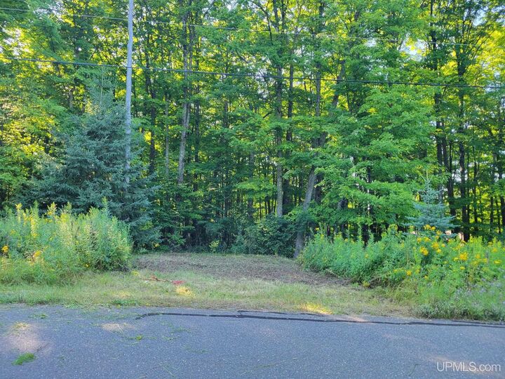 Property Photo:  Tbd Wildwood Drive  MI 49935 