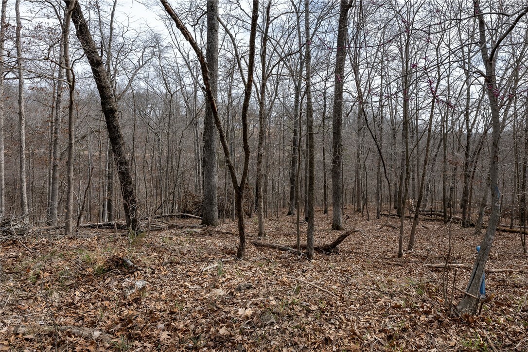 Lot 26, Block 2 Henrietta Lane  Bella Vista AR 72715 photo