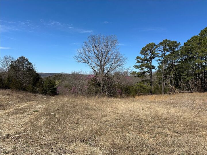 Property Photo:  Lot 3 Deer Meadows Lane  AR 72687 