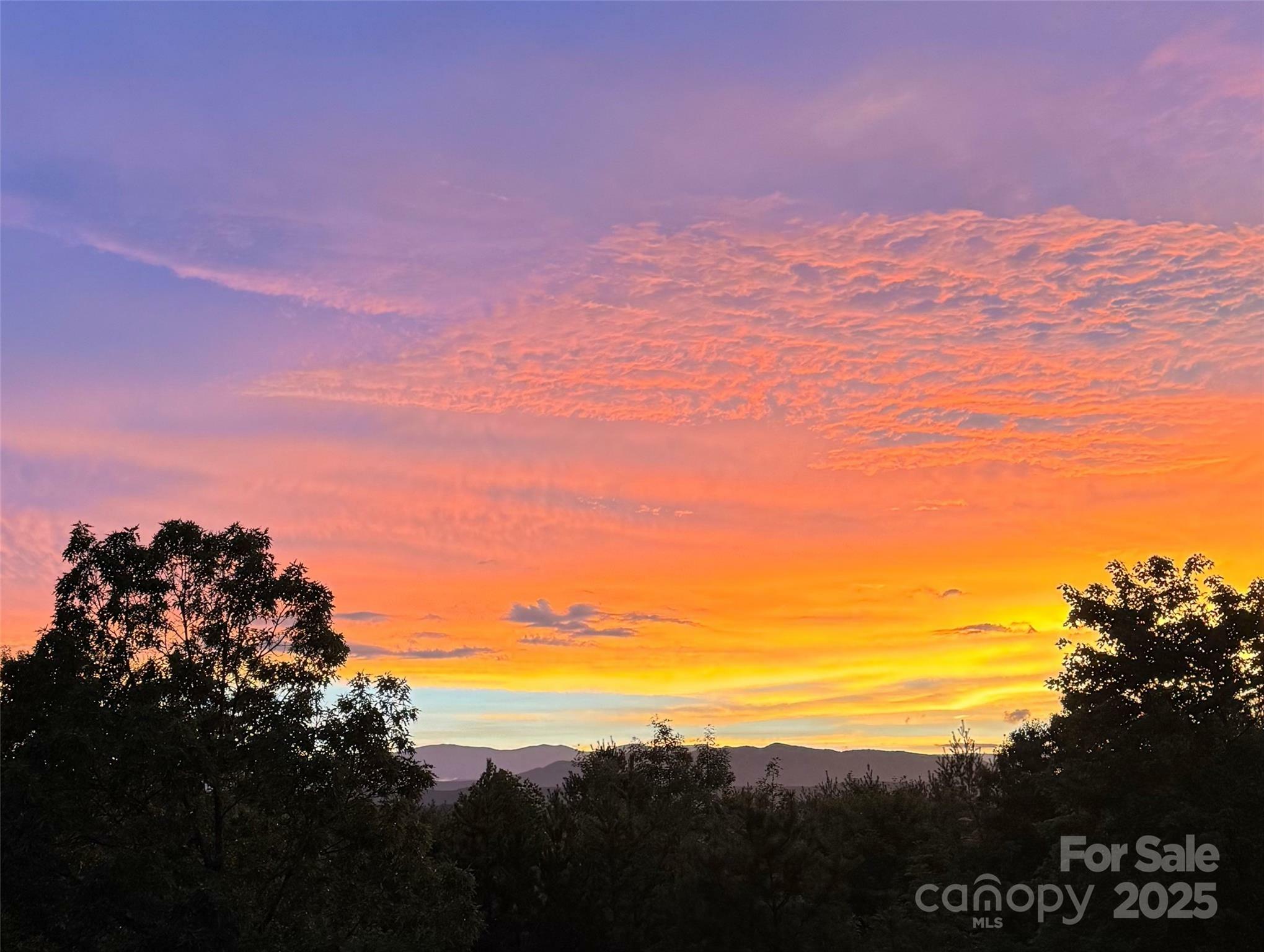 Property Photo: 207 Lake Crest Drive 11 NC 28761