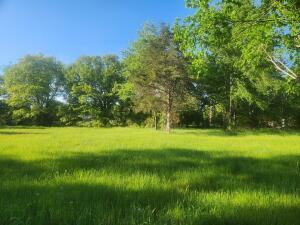 Property Photo: Tract 4 Castleberry Lane AR 72846