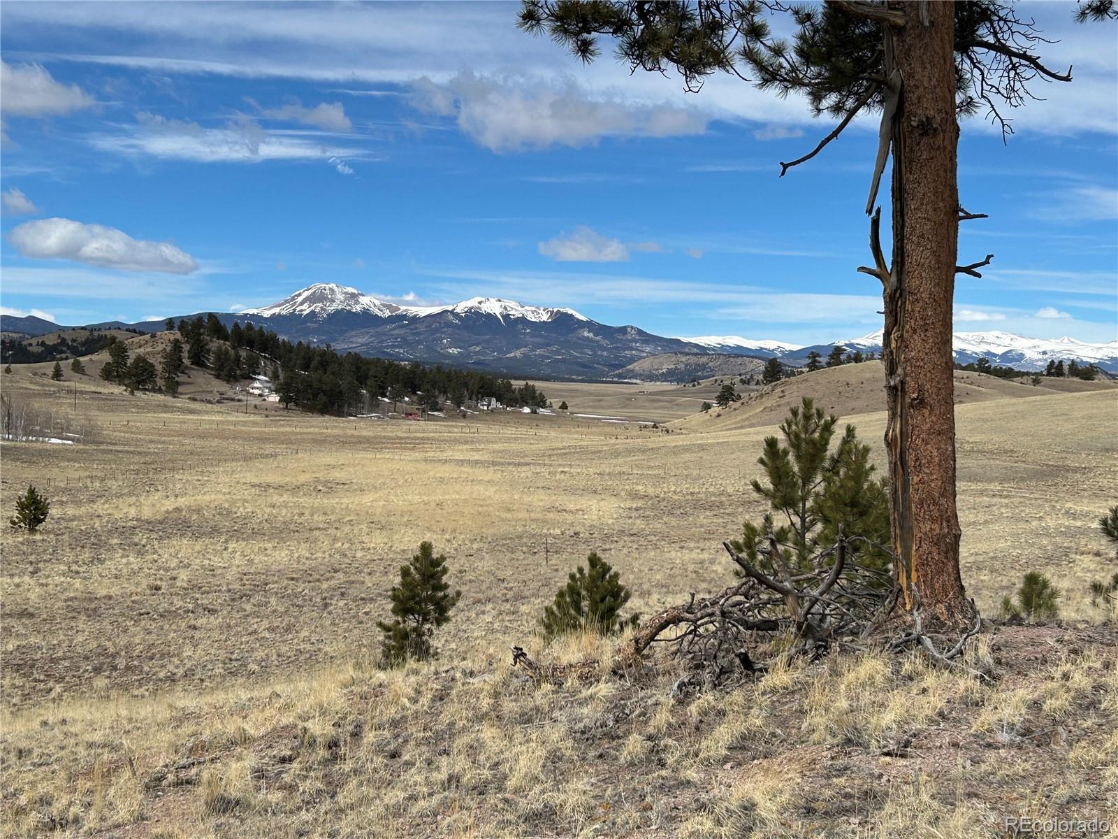 Property Photo:  443 Saddle Horn Road  CO 80449 