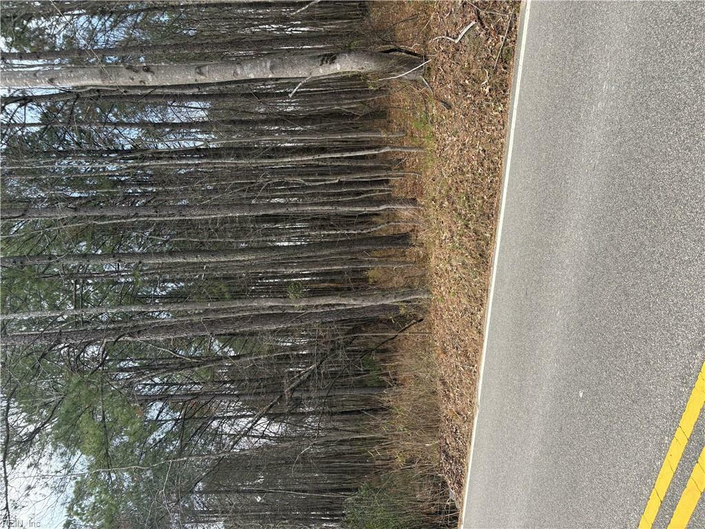Property Photo: 10 Ac Millville Road VA 23320