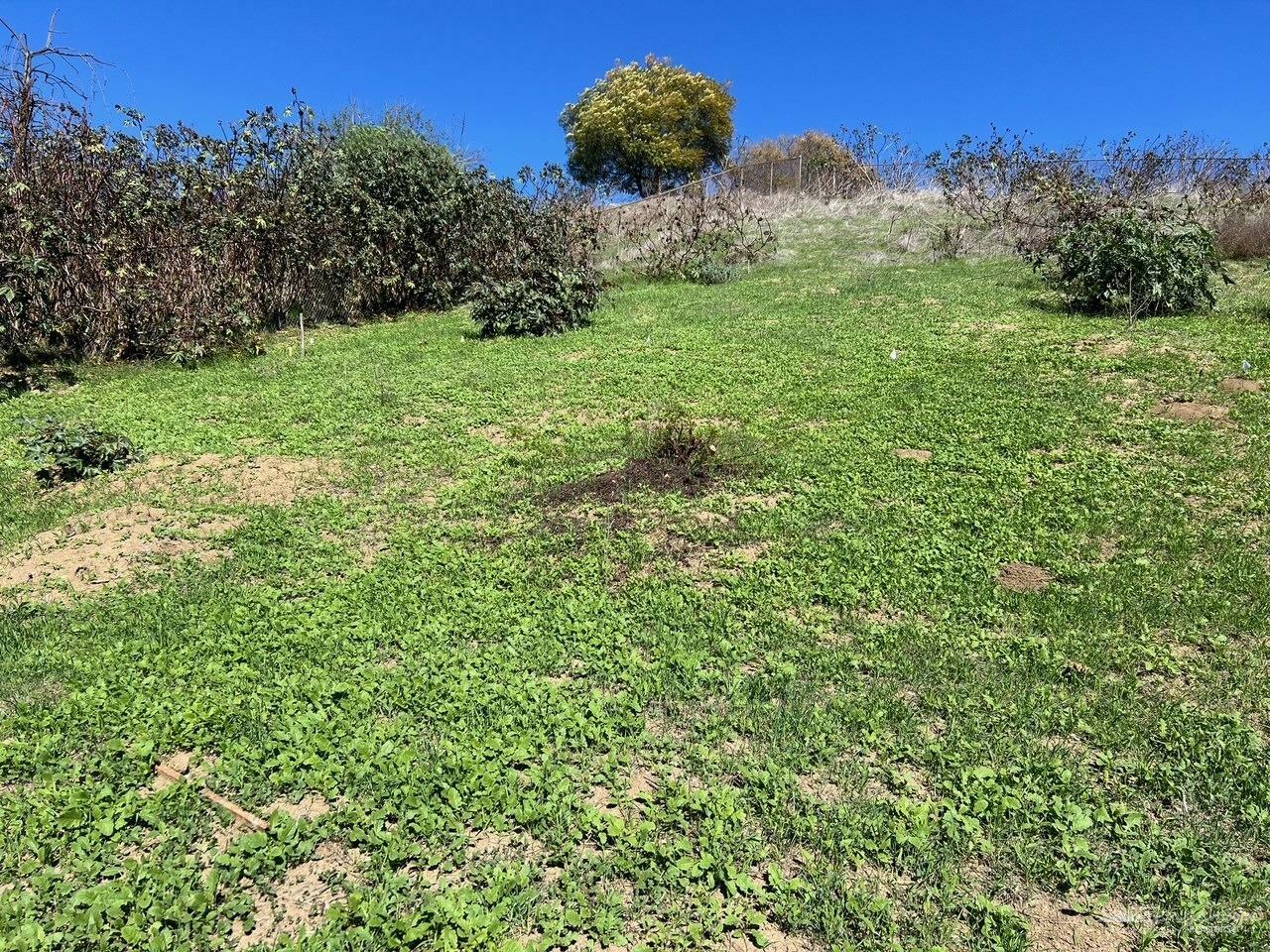 Property Photo: 0 Lot 9 Latrobe St CA 90031