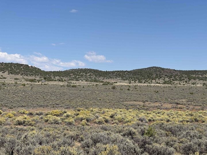 Property Photo:  Tbd Nm 567  NM 87517 