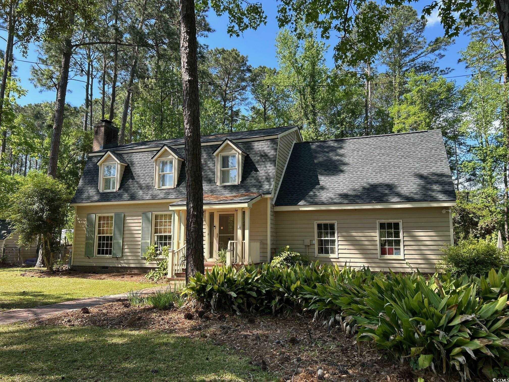 133 Otter Run Rd.  Pawleys Island SC 29585 photo