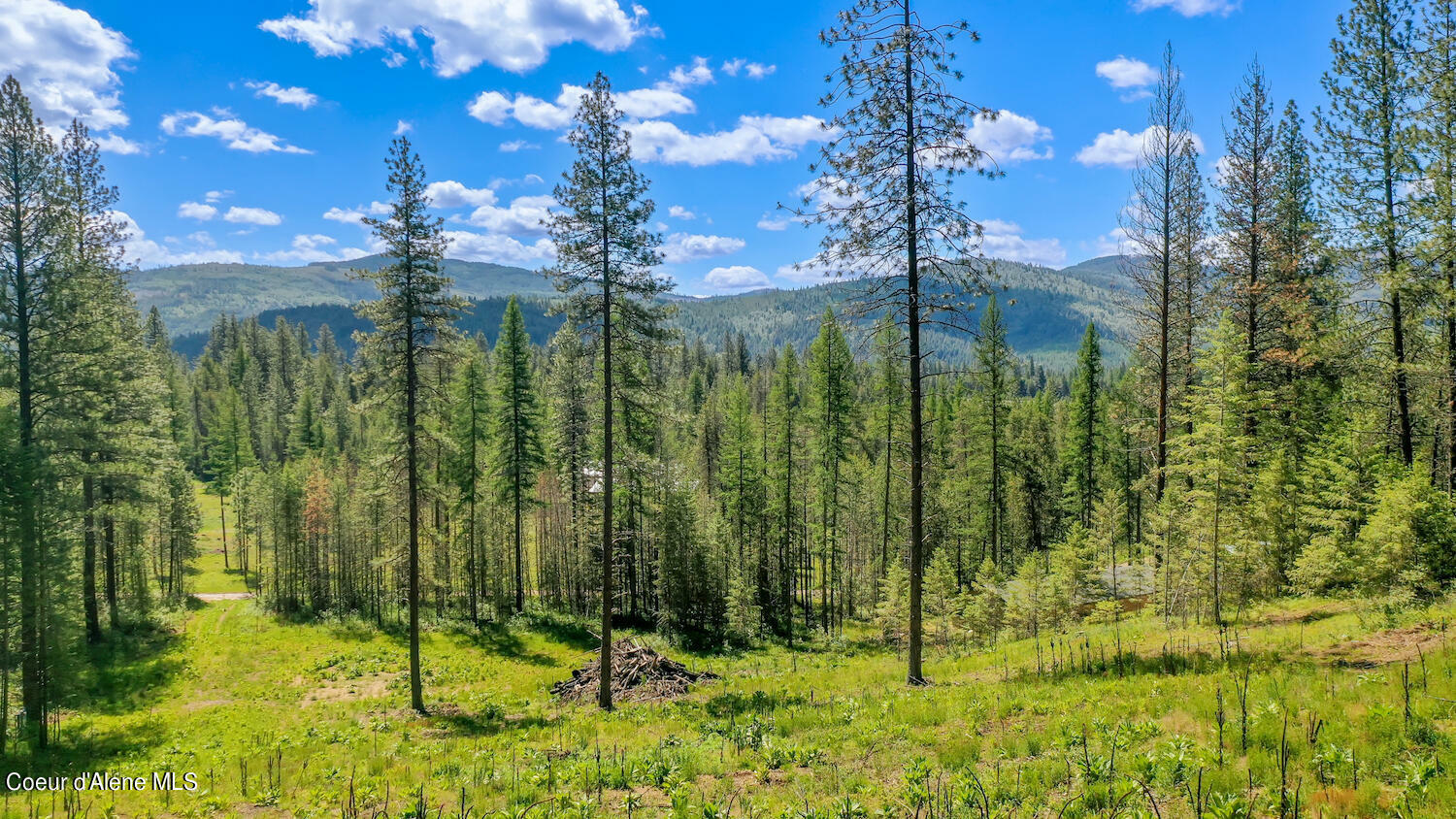 Property Photo: Nka Meadowland Drive ID 83804