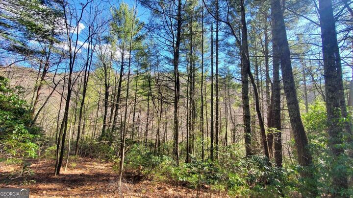 Property Photo: 51+ Acre Mountain Cove Way 1-8 GA 30522