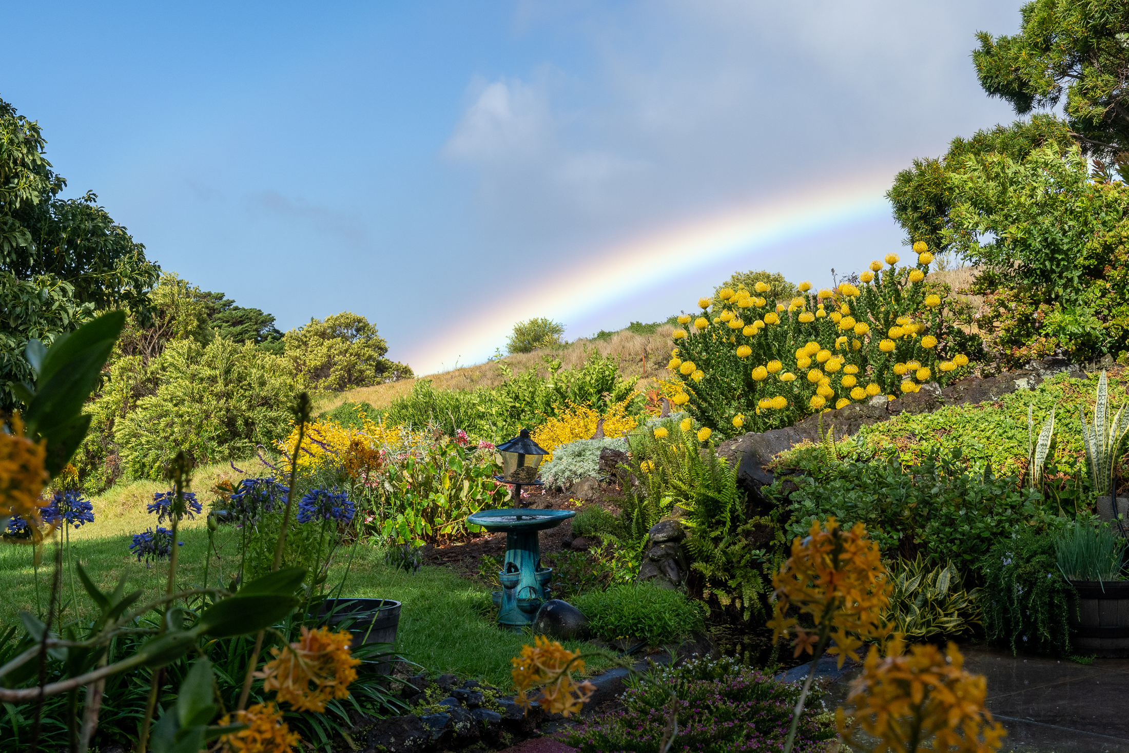 Property Photo:  65-1508 Kawaihae Rd  HI 96743 