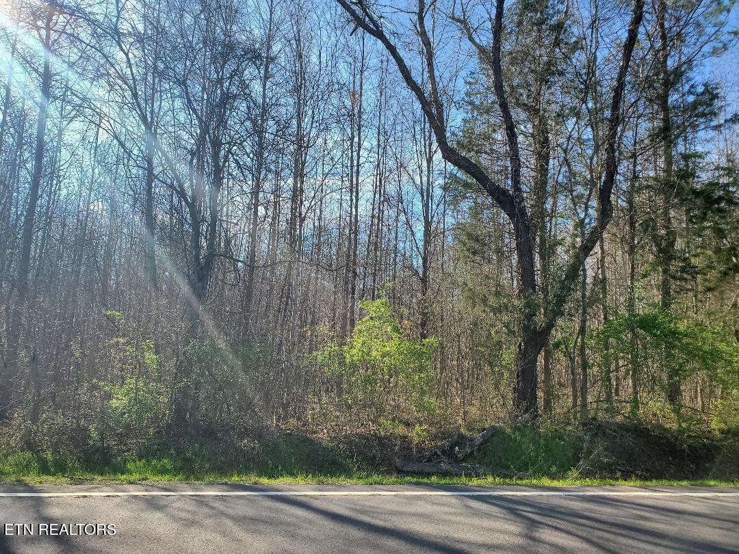 Lot 7 Highway 304  Decatur TN 37322 photo
