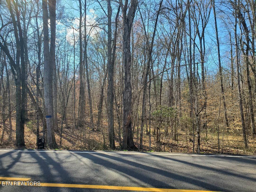 Lot 17 Highway 304  Decatur TN 37322 photo