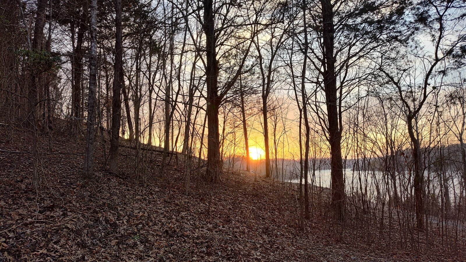 Property Photo: 87 Harbor Pointe Dr TN 38582