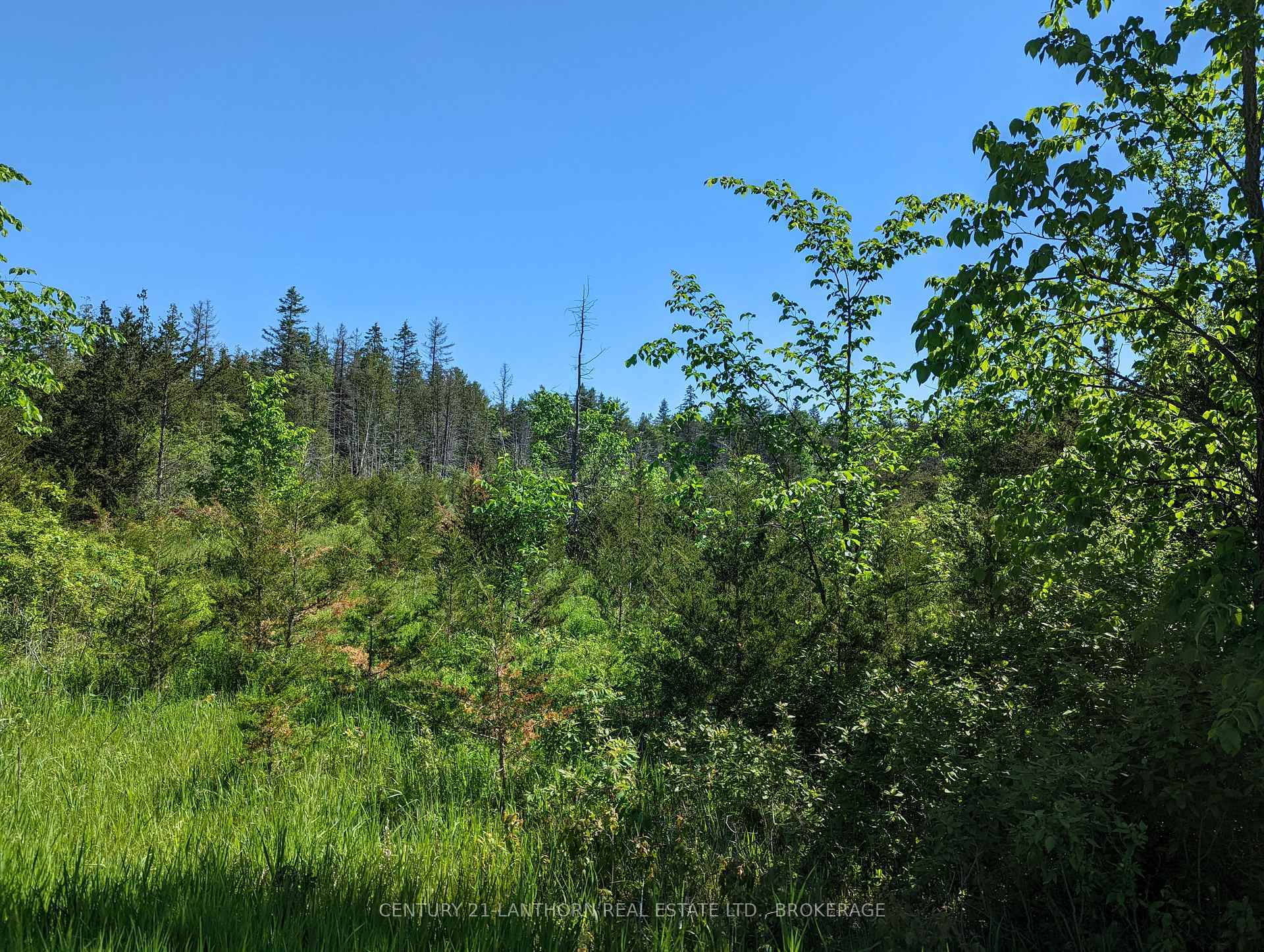 Photo de la propriété:  0 Pinegrove Road  ON K0K 2W0 