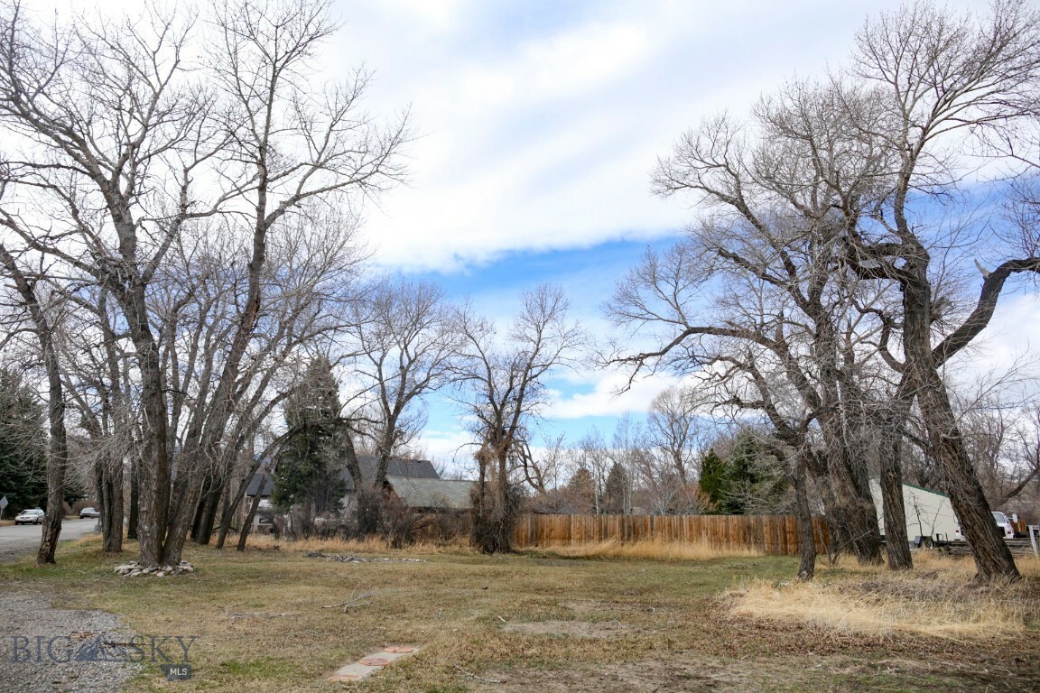Tbd E Lewis Street  Livingston MT 59047 photo