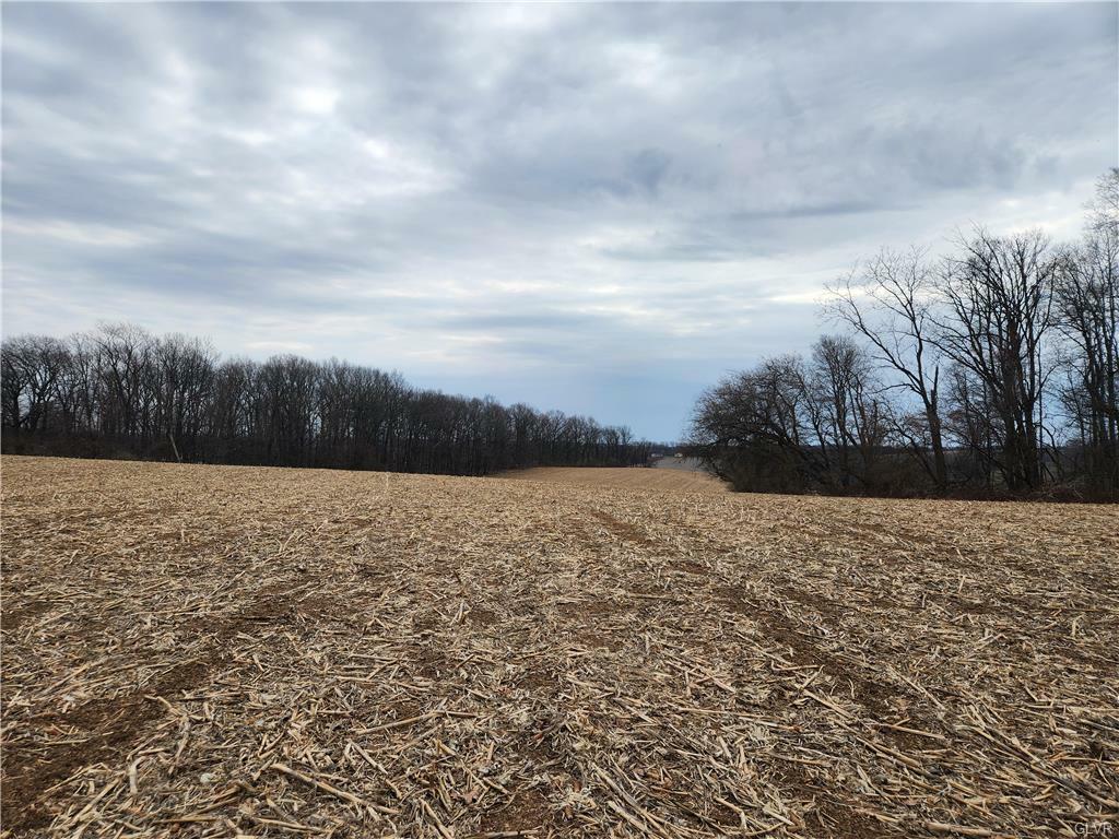 8647 Edelweiss Road Lot 1 2 3 4  Weisenberg Twp PA 18066 photo
