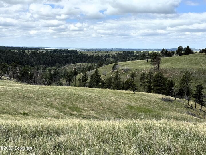 Property Photo: 175 Gruenhagen Rd - WY 82721