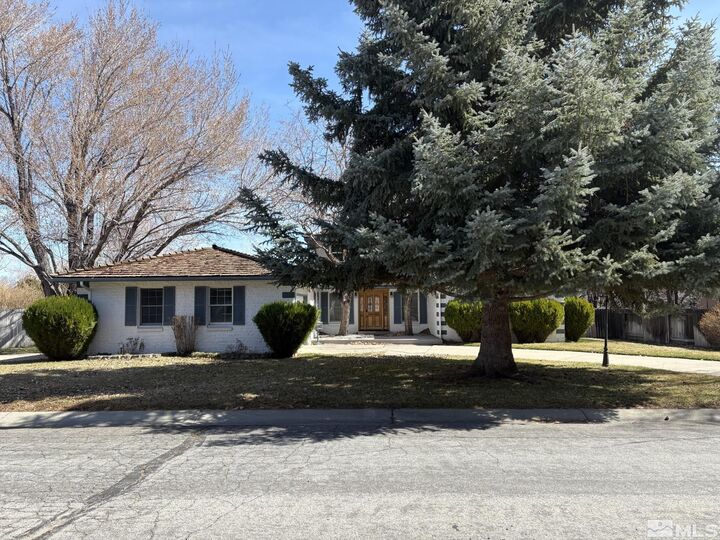 Property Photo:  3 Comstock Circle  NV 89703 