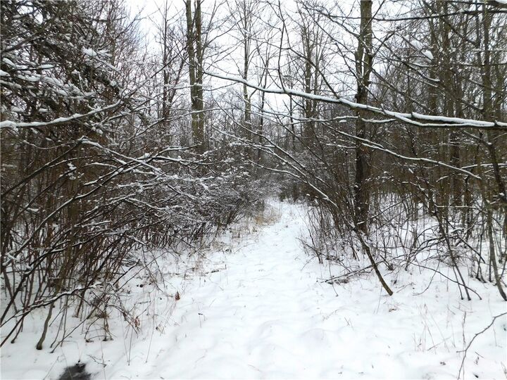80 Acres Off Of County Road O  Ogema WI 54459 photo