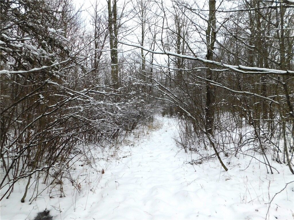 Property Photo:  80 Acres Off Of County Road O  WI 54459 