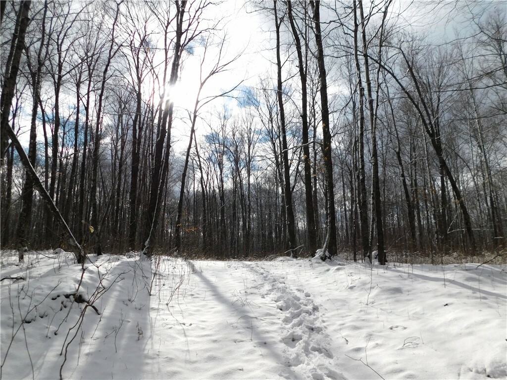 80 Acres Off Of Cty Rd O  Ogema WI 54459 photo