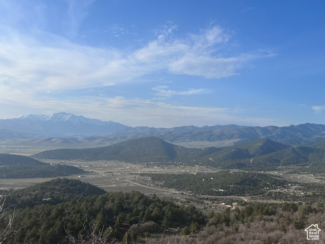 481 Paradise Rdg 481  Indianola UT 84629 photo
