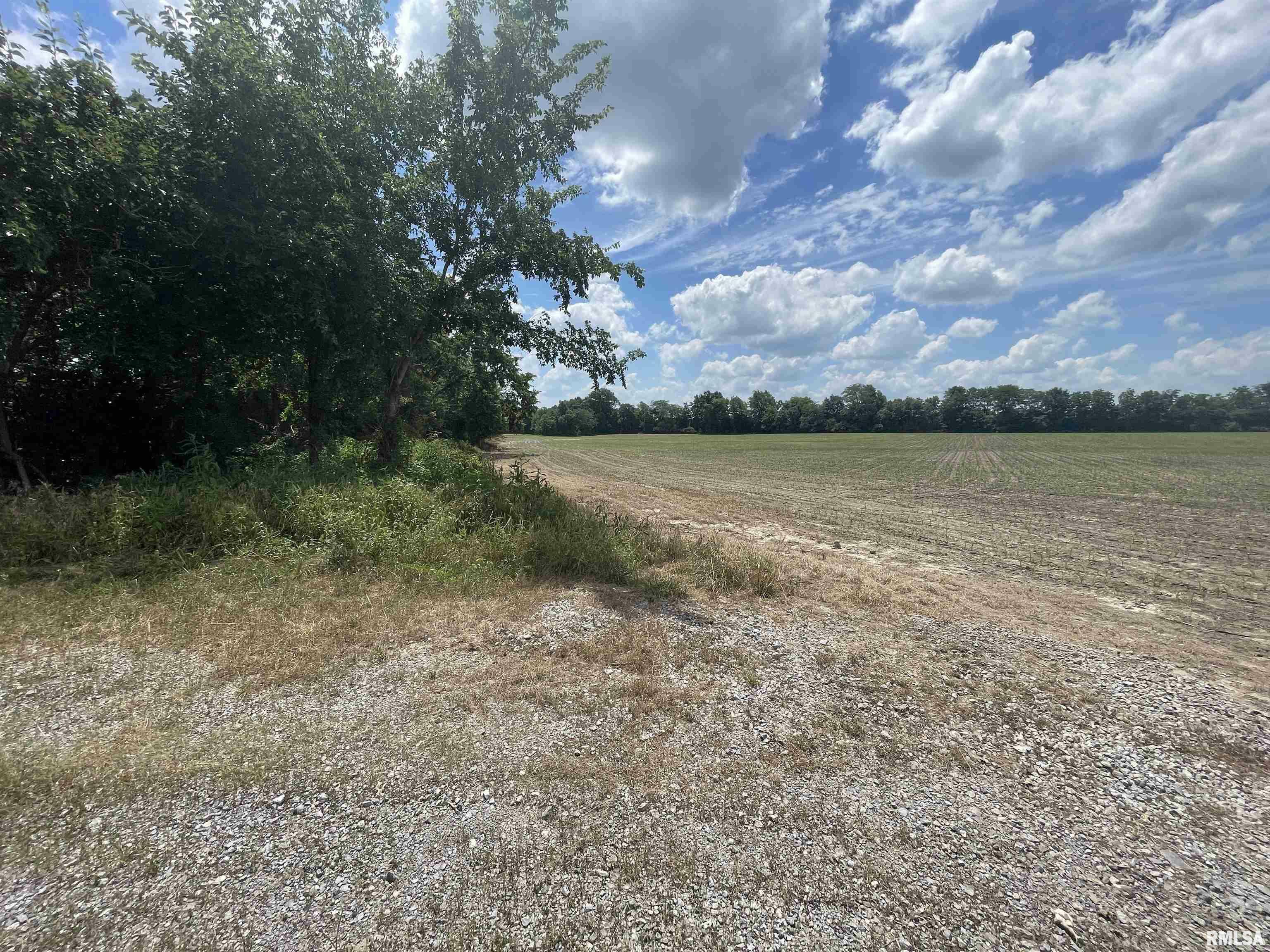 Property Photo: 000 Old Bainbridge Road IL 62959