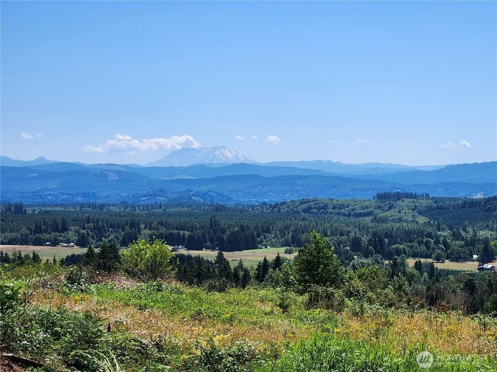 Property Photo:  171  Starlight Drive, Lot 1  WA 98570 