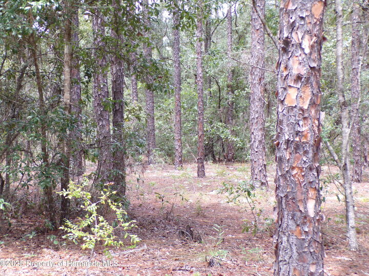 Property Photo:  601 E Marquette Lane  FL 34434 
