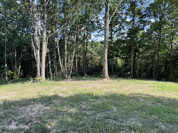 Property Photo: Cole Hollow Rd TN 37825