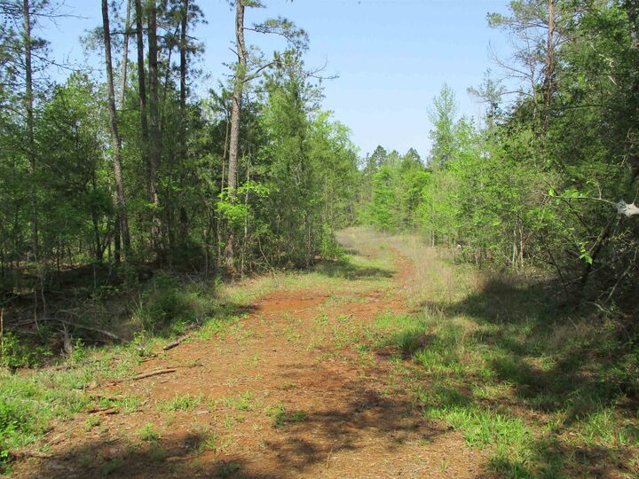 Property Photo:  0000 Cr 461 S  TX 75667 