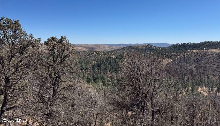 Property Photo:  106 Edgewview Court  NM 88312 