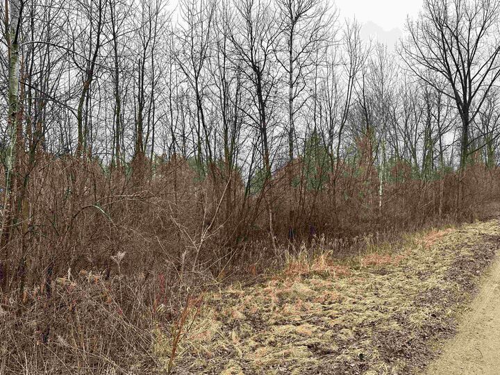 Property Photo:  4019 Bay  MI 48612 