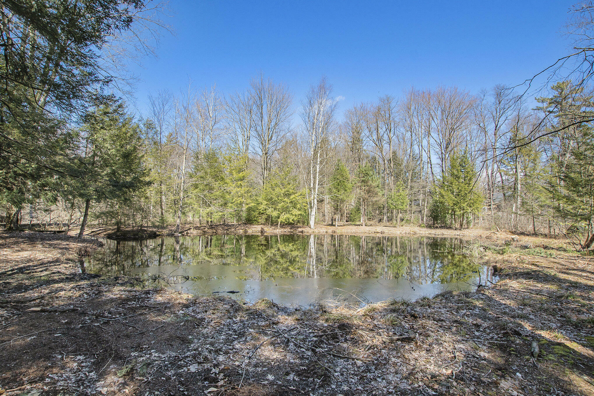 Property Photo:  6051 Butternut Drive  MI 49460 