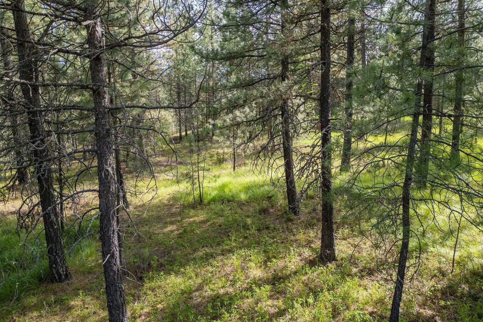 Property Photo: Lot 22 Couples Ct WA 99109