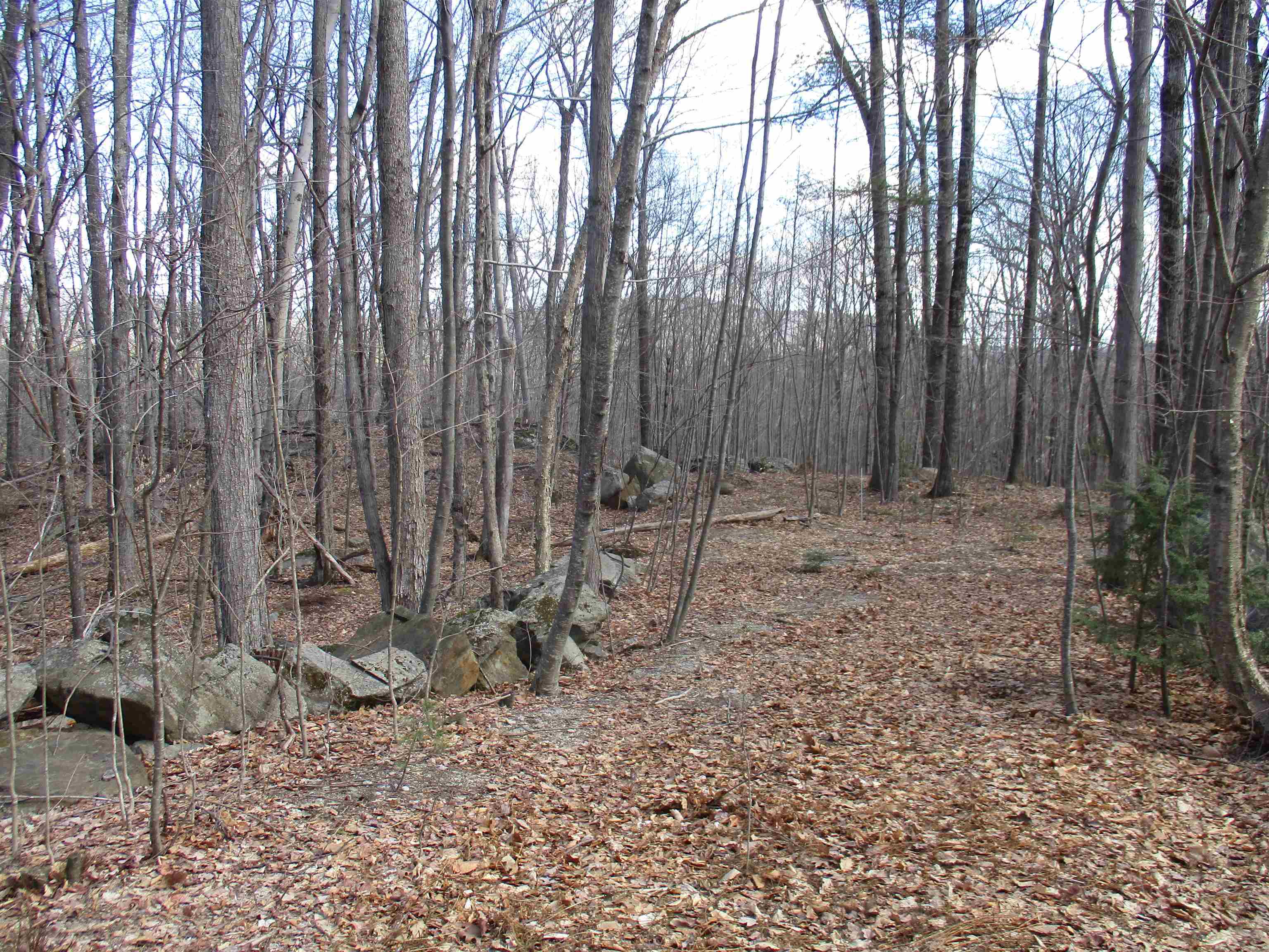 Property Photo:  S5-11 Longwood Drive  NH 03047 