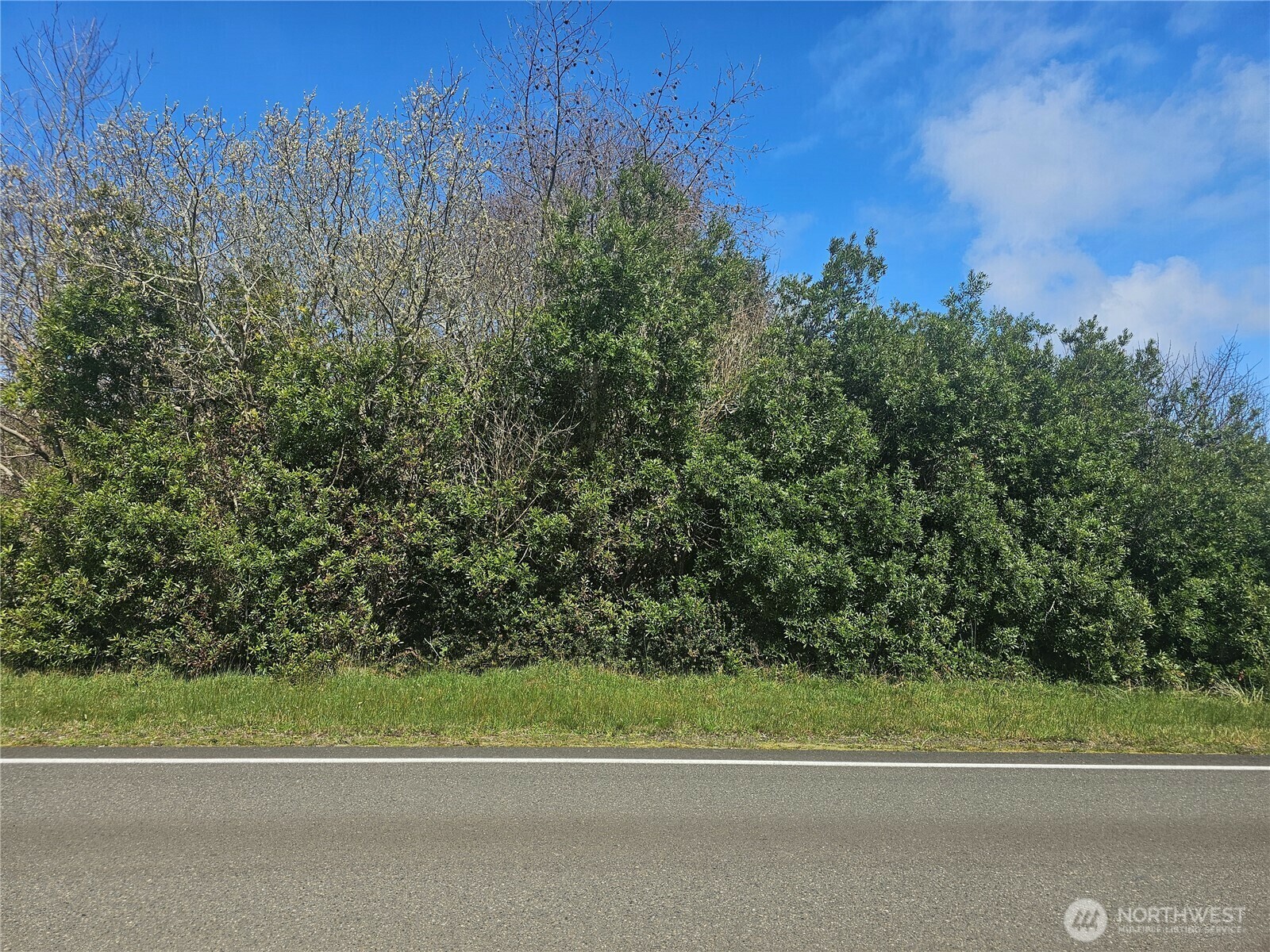 144  Marine View Drive SW  Ocean Shores WA 98569 photo