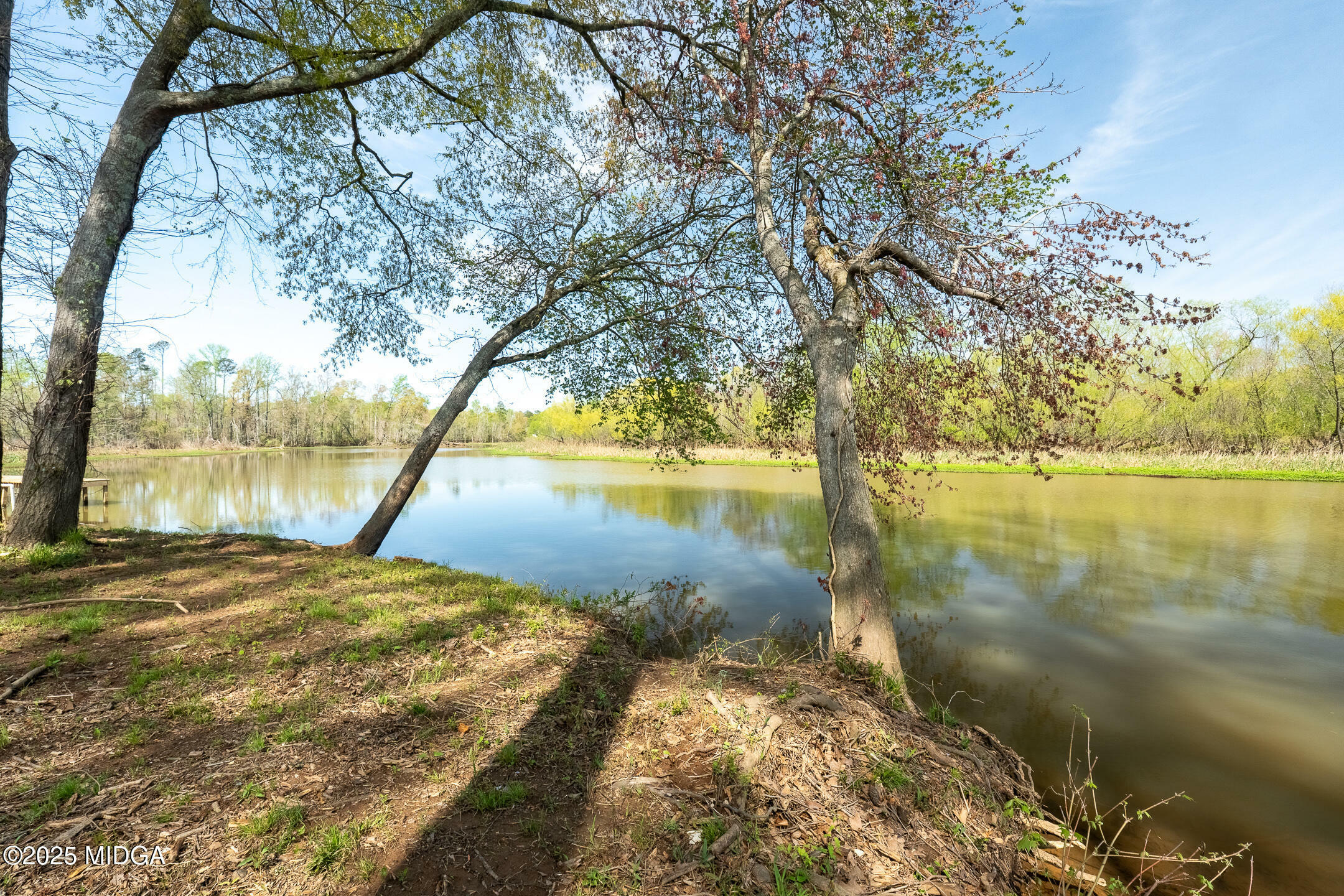Property Photo: 0 Henry Higgins Road GA 30233