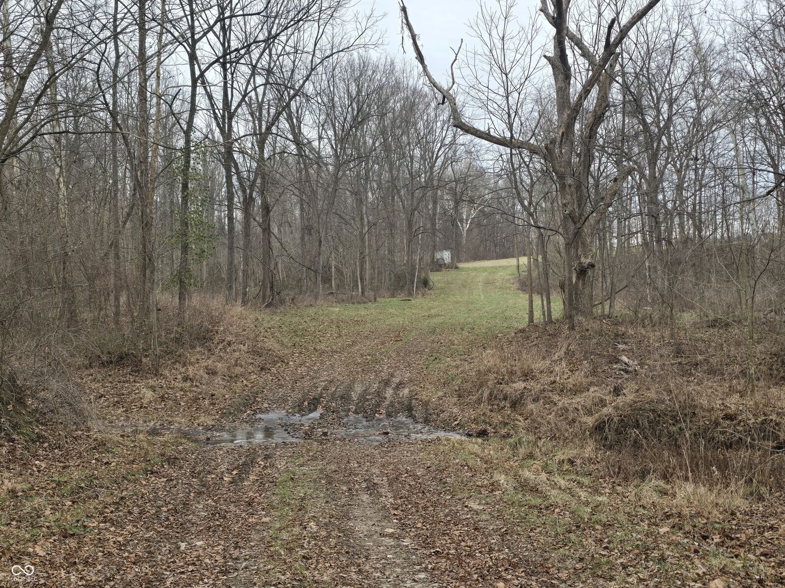 Property Photo:  2749 E County Road 1200 N  IN 47834