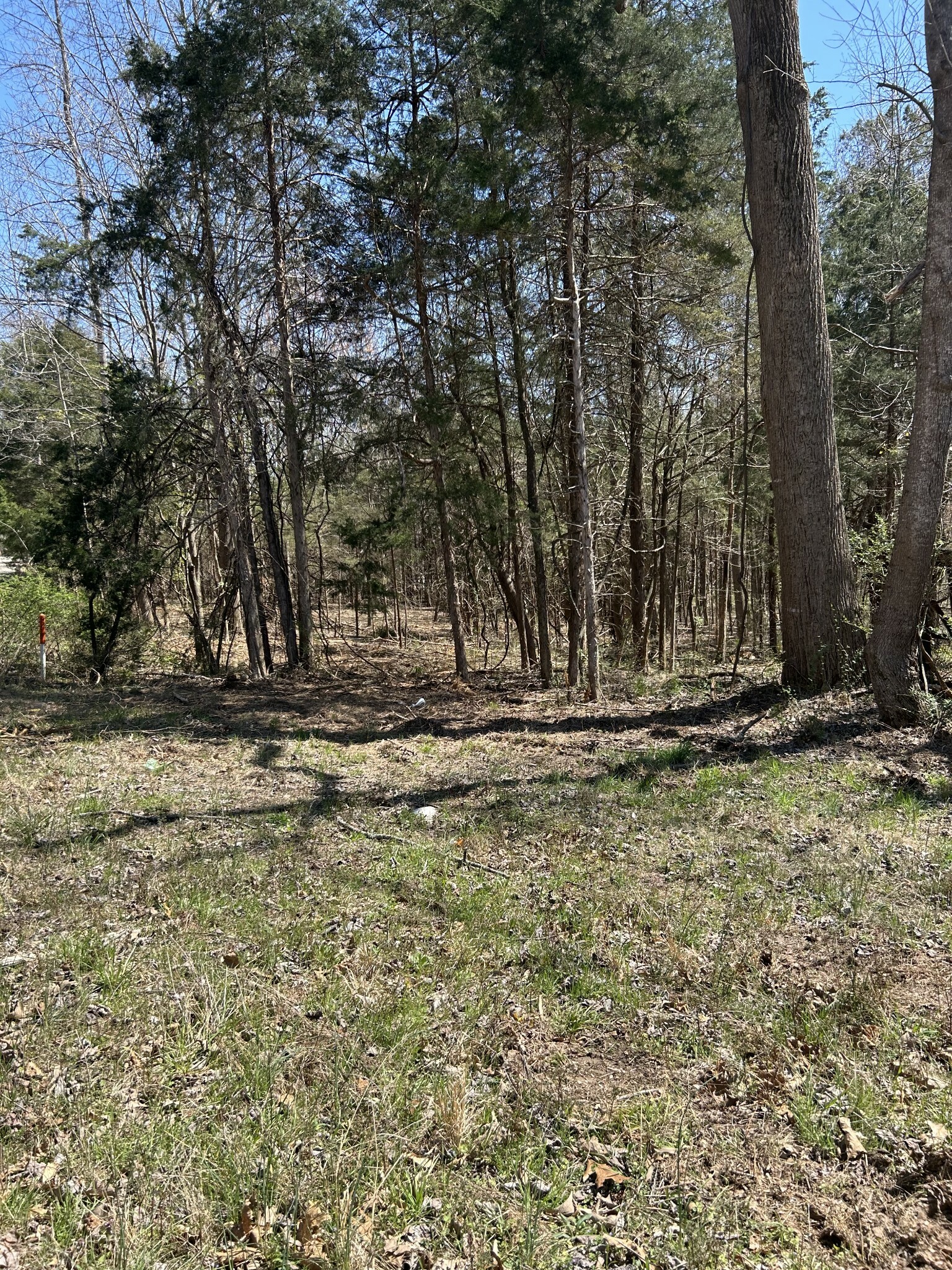 Property Photo: 820 Lucas Rd TN 37055