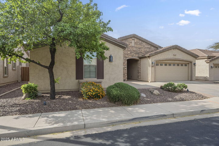Property Photo: 4497 E Ficus Way AZ 85298